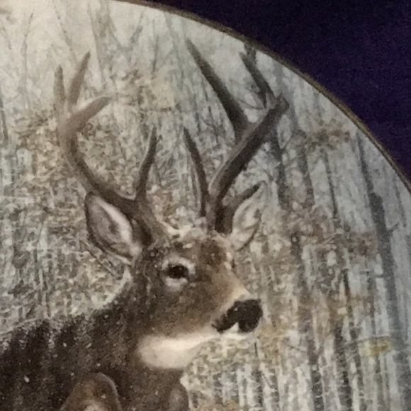 1992 Danbury Mint “Flying High” Collectible Plate (#H8390) - Picture 2 of 8